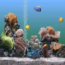 Aquarium