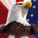 Bald Eagle Stars and Stripes
