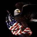 Bald Eagle USA etc