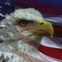 Bald Eagle and USA Flag