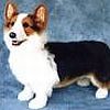 Corgi