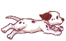 Dalmation pup