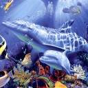Dolphin Art