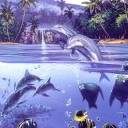 Dolphins Swimming