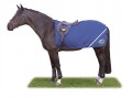 Drawn horse