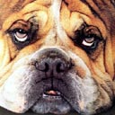 Droopy Face
