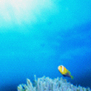 Fishy 4