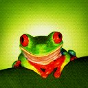 Froggy