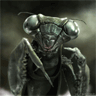 Grasshopper