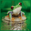 Green Frog