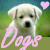 I Love Dogs