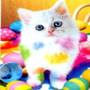 Kitty Learning to Paint