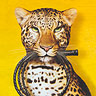 Leopard whip