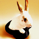 Magic Rabbit