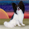 Papillon Art