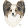 Papillon Painting