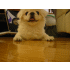 Puffy
