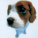 Puppy 3