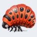 Red Insect