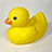 Rubber duck