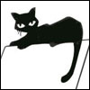 black cat