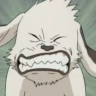 Akamaru Angry