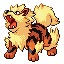 Colourful Arcanine