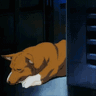 Ein looks up