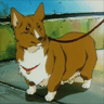 Ein on a leash