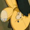 Kon gets another nice view