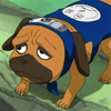 Pakkun