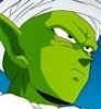 Piccolo2