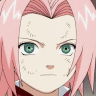 Sakura Chan