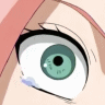 Sakura Teardrop
