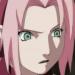 Sakura disbelief