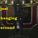 Sebastian just hanging around