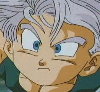 Trunks3