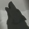 Wolf Howl
