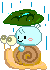 snail riding
