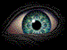 Animated Eye