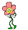 Dancing flower