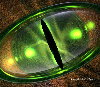 Dragons Eye