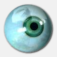 Eyeball
