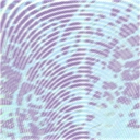 Fingerprint