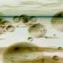 Ghost Bubbles