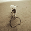 Heart in the sand3