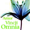 Love conquers all