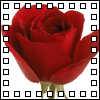 Romance