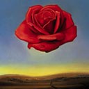 Rose UFO