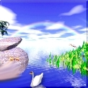 Swan Pond